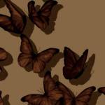 Tgbdgyhg Dgrgvn The star ✨